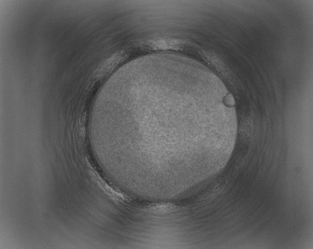 X0000080720402200701121849