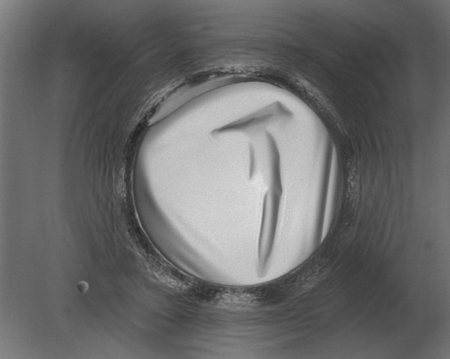 X0000080720403200701121849