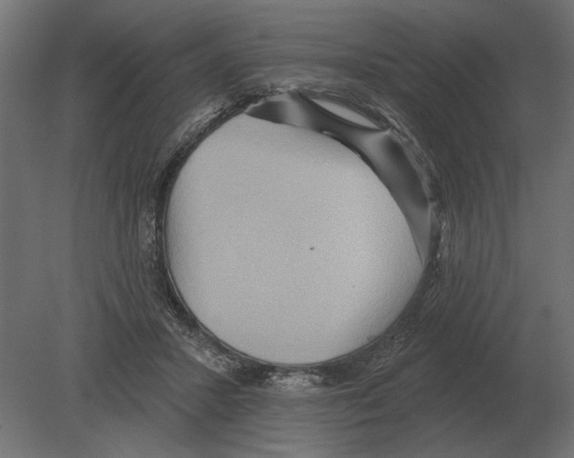 X0000080720407200701121849