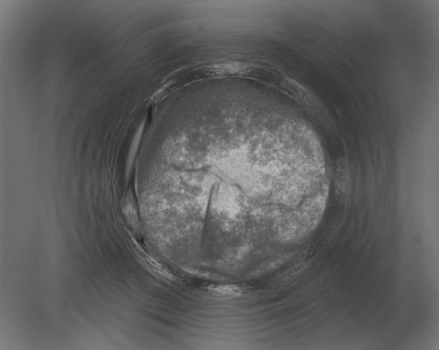 X0000080720409200701121849