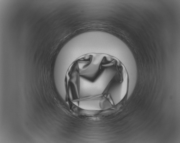 X0000080720411200701121849