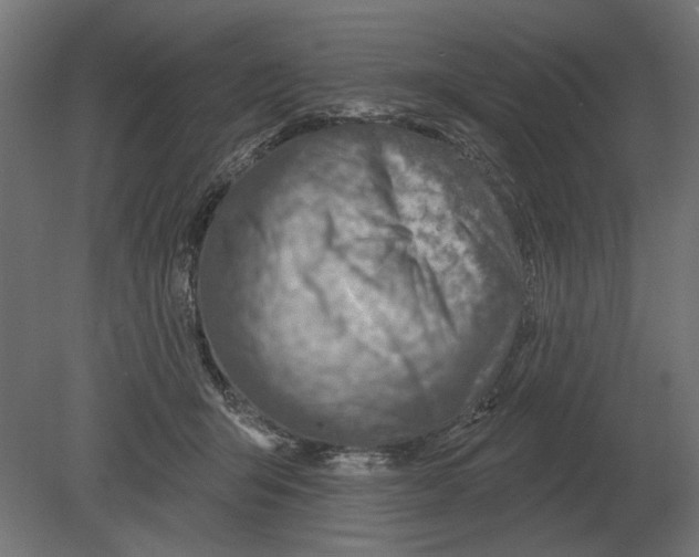 X0000080720415200701121849