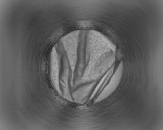 X0000080720417200701121849