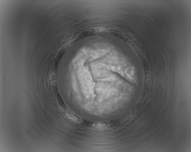 X0000080720419200701121849