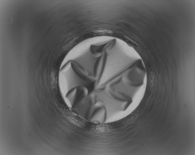 X0000080720420200701121849