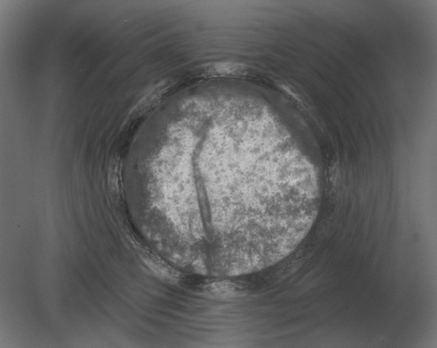 X0000080720423200701121848