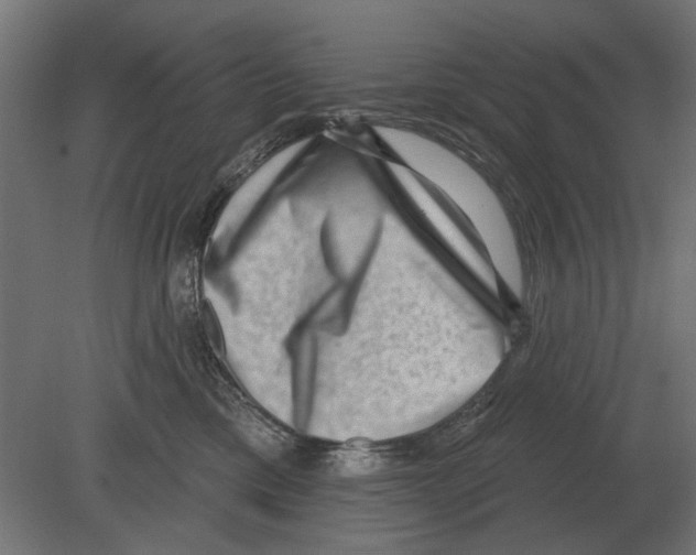 X0000080720425200701121848