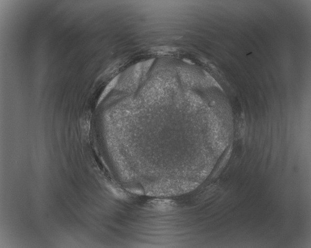 X0000080720427200701121848