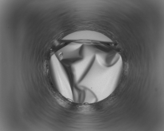 X0000080720428200701121848