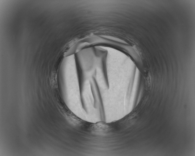 X0000080720429200701121848