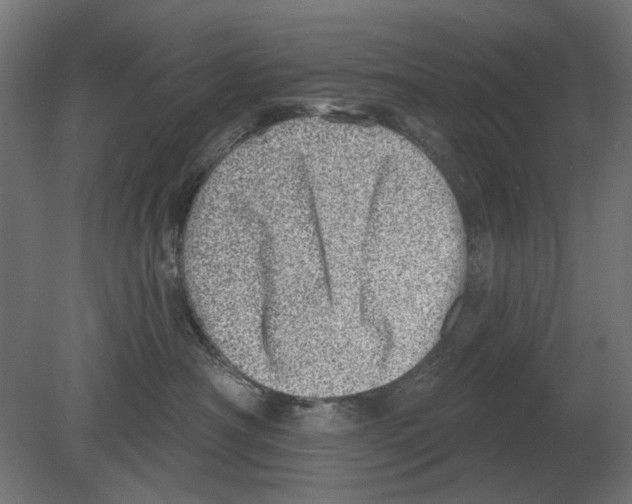 X0000080720430200701121848