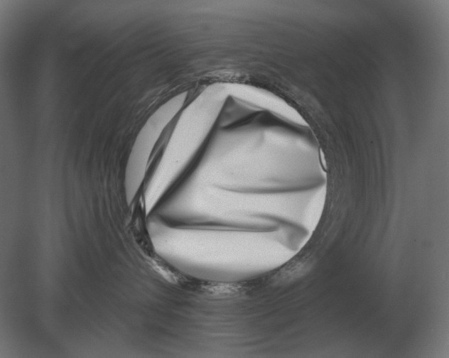 X0000080720432200701121848