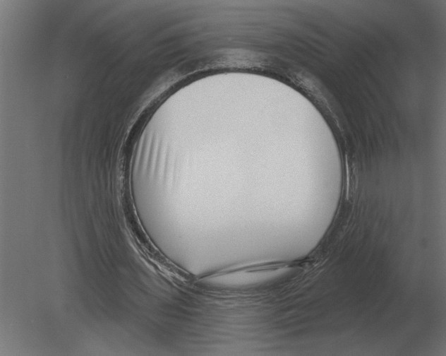 X0000080720435200701121848