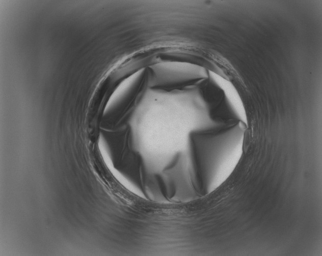 X0000080720436200701121848