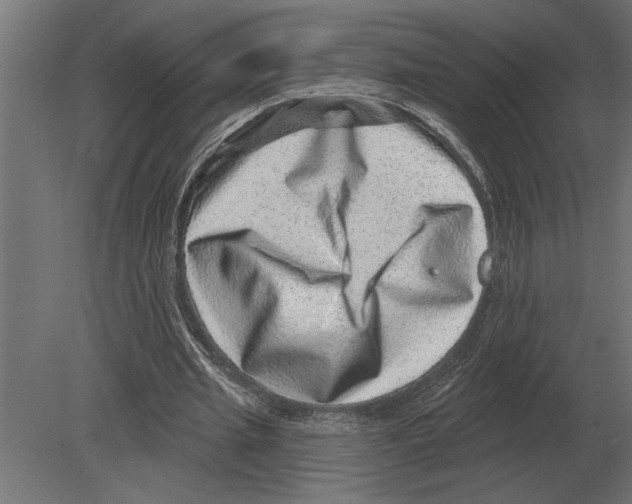 X0000080720437200701121848