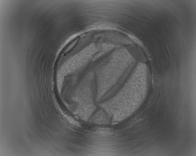 X0000080720438200701121848