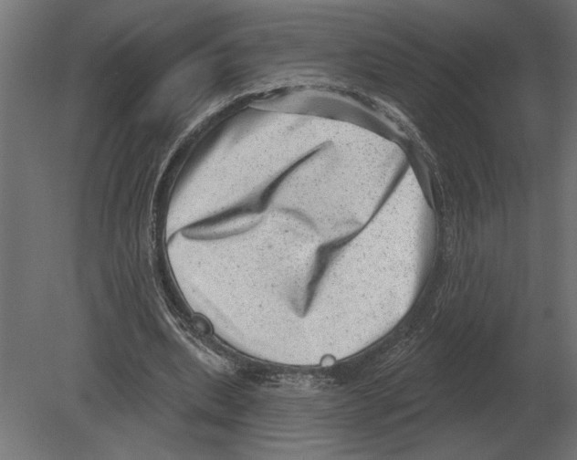 X0000080720439200701121848