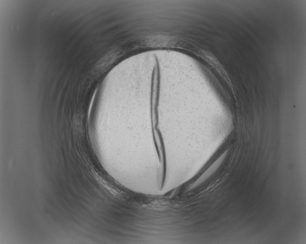 X0000080720441200701121848