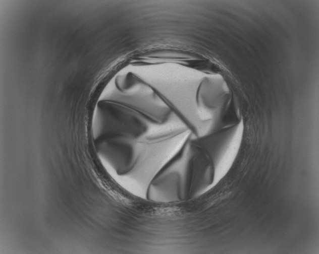 X0000080720446200701121848