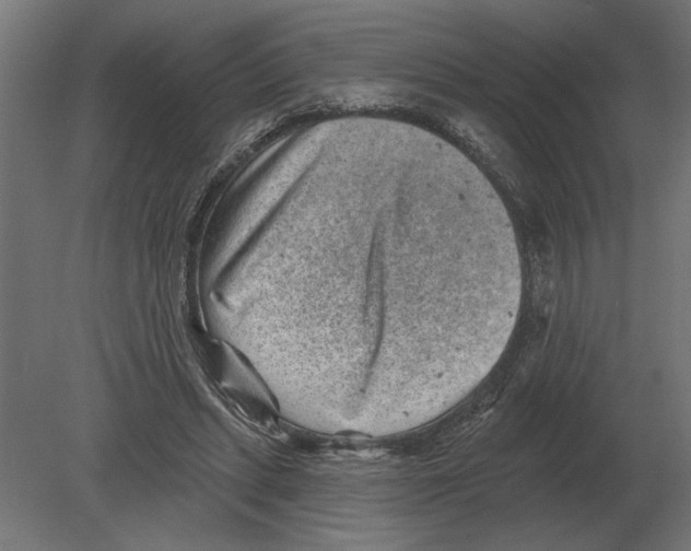 X0000080720447200701121848