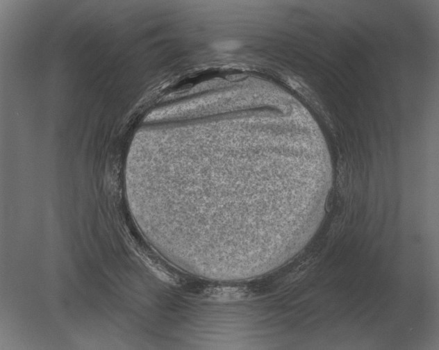 X0000080720449200701121848