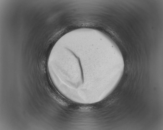 X0000080720450200701121848