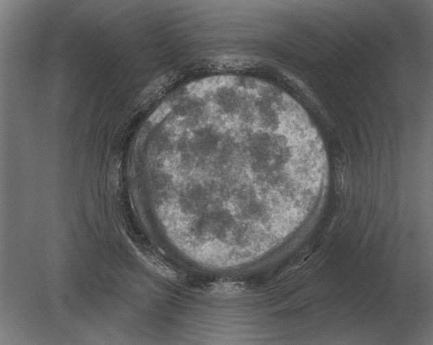 X0000080720451200701121848