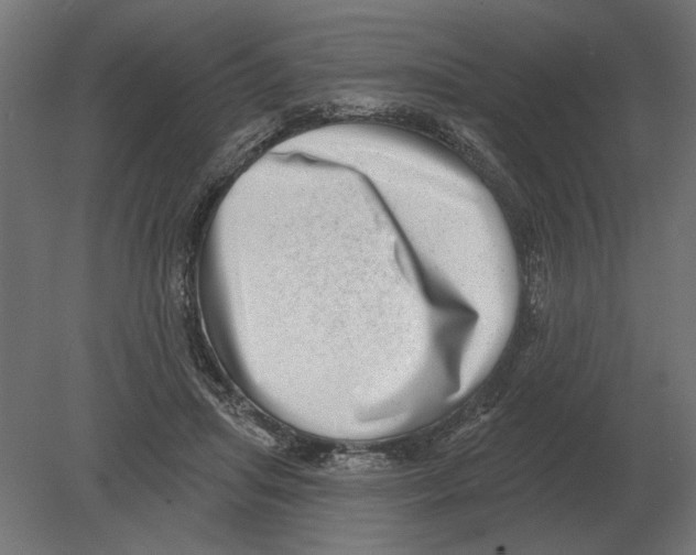 X0000080720455200701121848