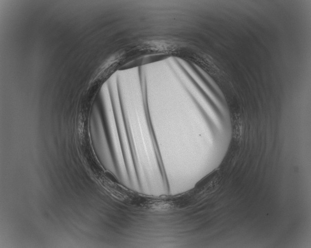 X0000080720456200701121848