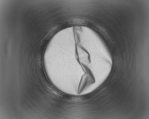 X0000080720457200701121848