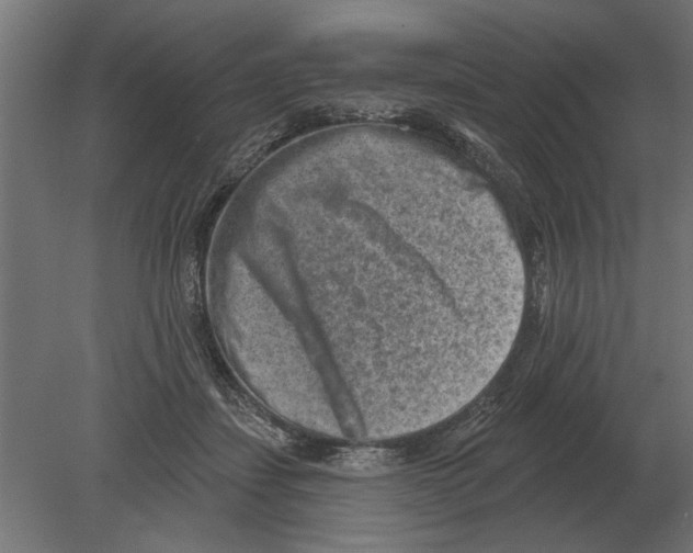 X0000080720459200701121848