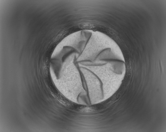 X0000080720460200701121848