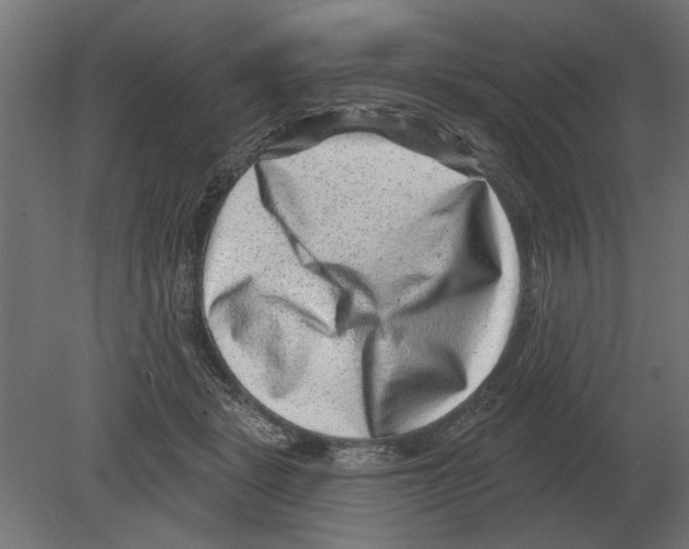 X0000080720461200701121848