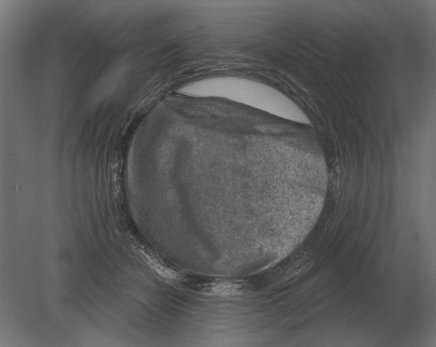 X0000080720462200701121848