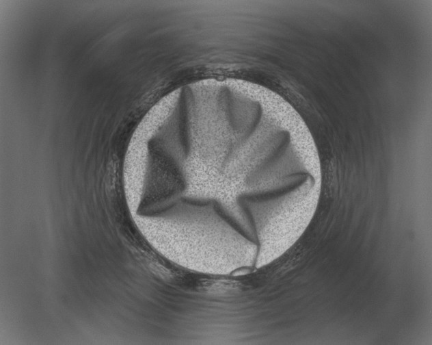 X0000080720463200701121848