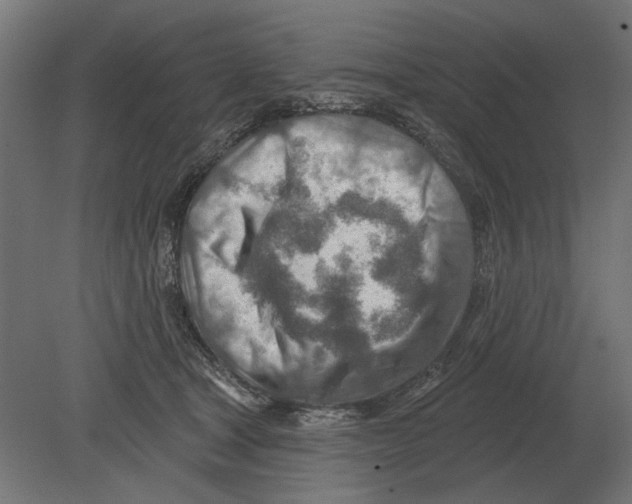 X0000080720465200701121848