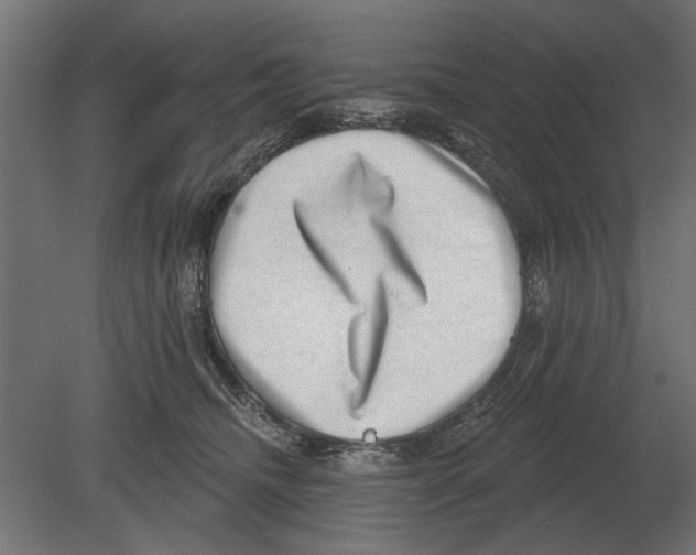 X0000080720468200701121848