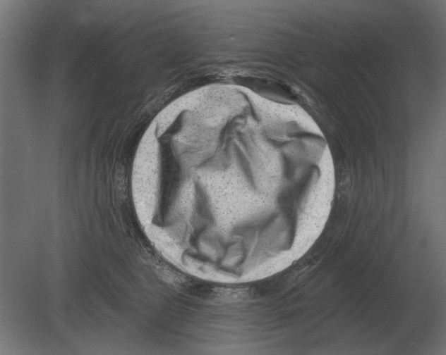 X0000080720469200701121848