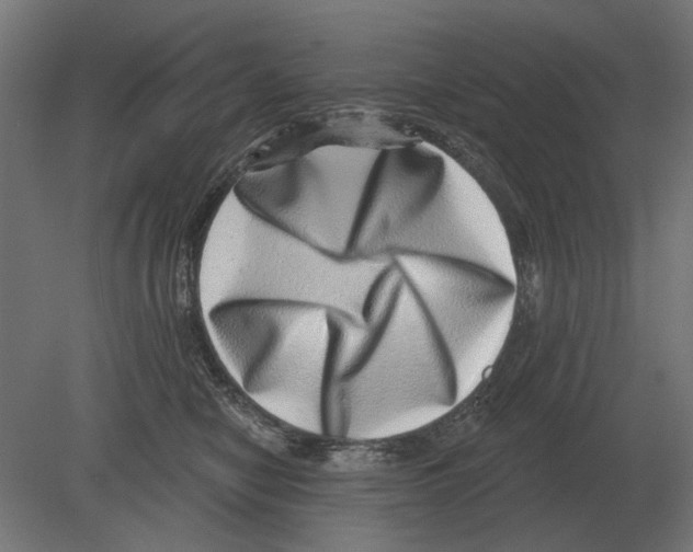 X0000080720470200701121848