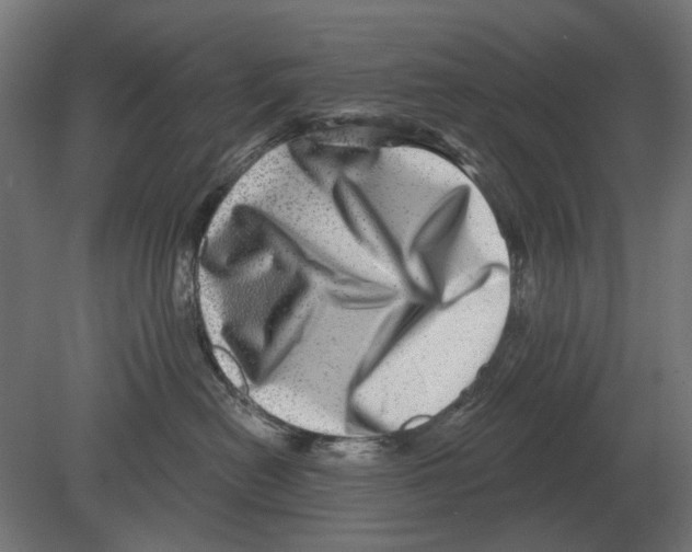 X0000080720478200701121848