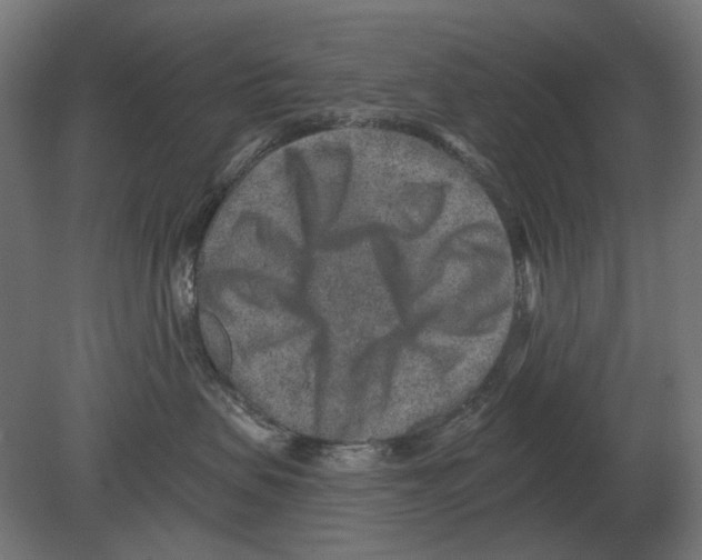 X0000080720479200701121848