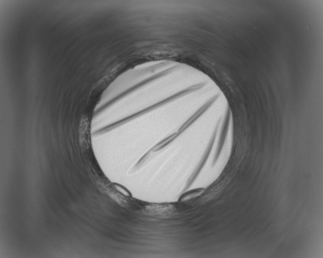 X0000080720480200701121848