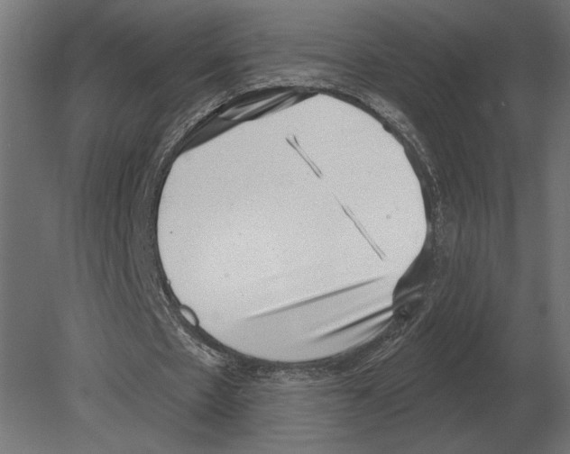 X0000080720481200701121848