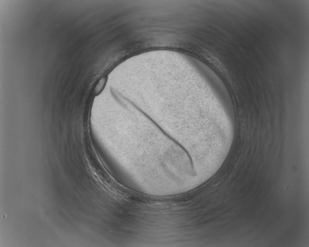 X0000080720482200701121847