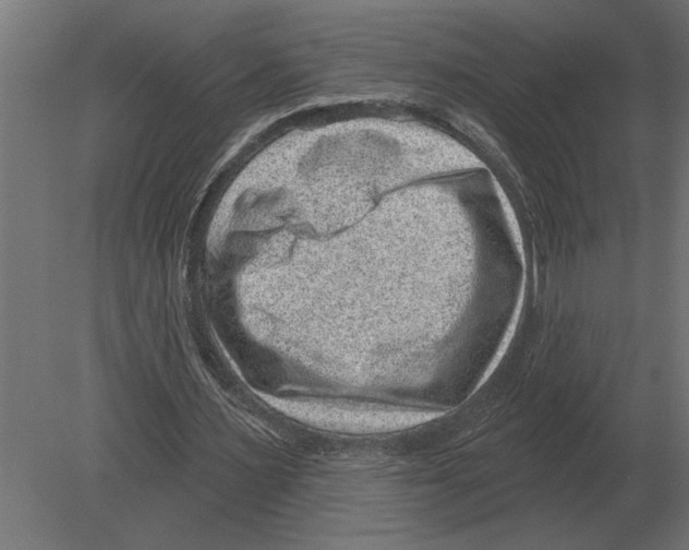 X0000080720483200701121847