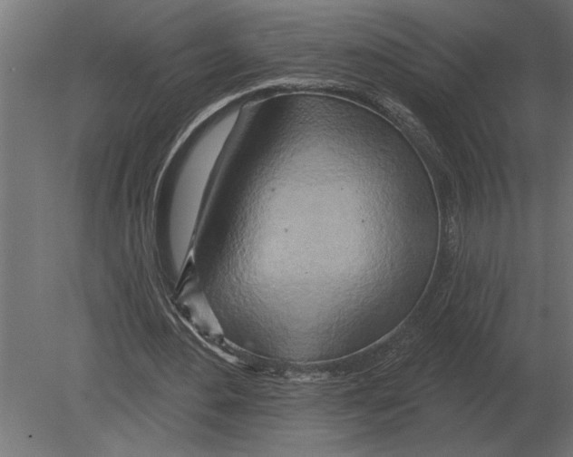 X0000080720484200701121847