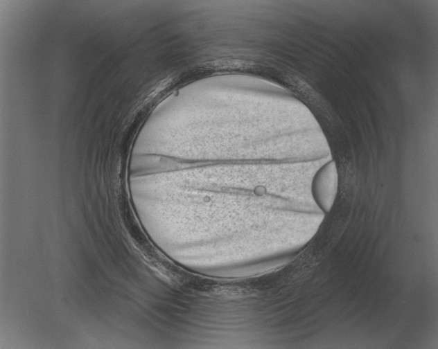 X0000080720490200701121847