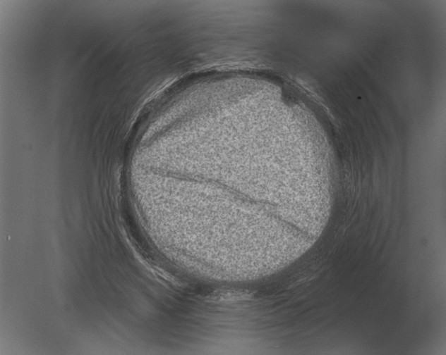 X0000080720491200701121847