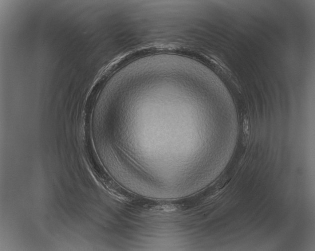 X0000080720492200701121847