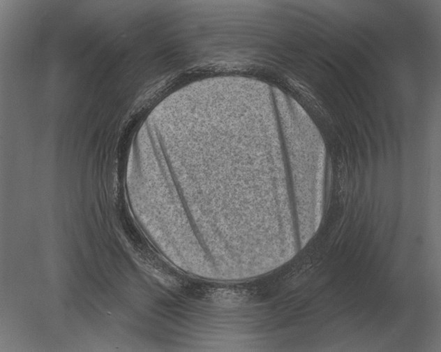 X0000080720494200701121847